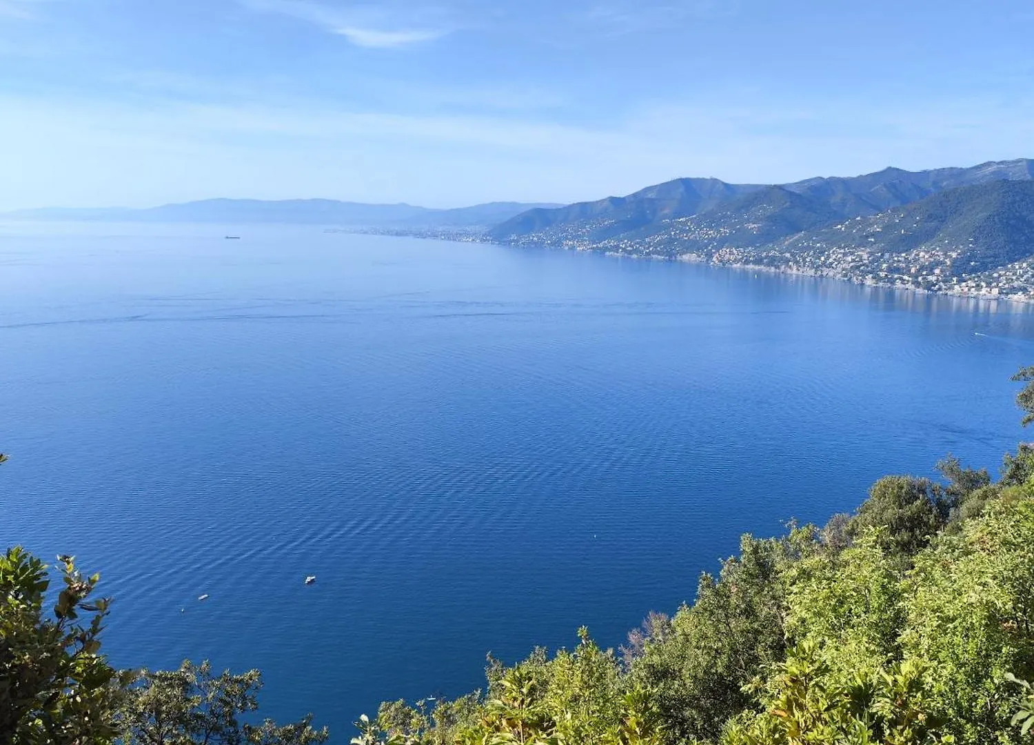 La Conchiglia Bed & Breakfast Camogli 0*,