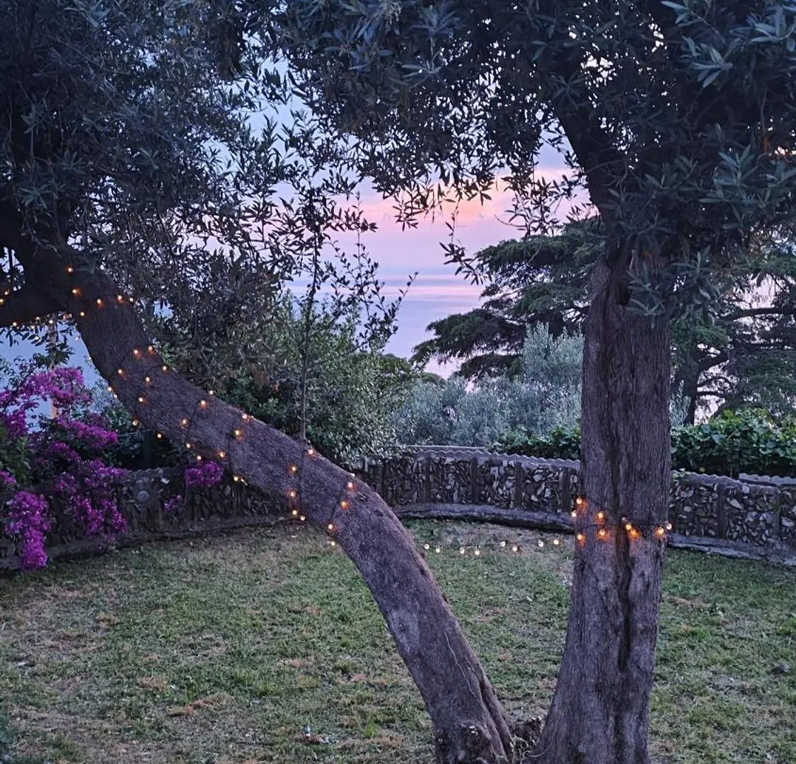 La Conchiglia Bed & Breakfast Camogli 0*,
