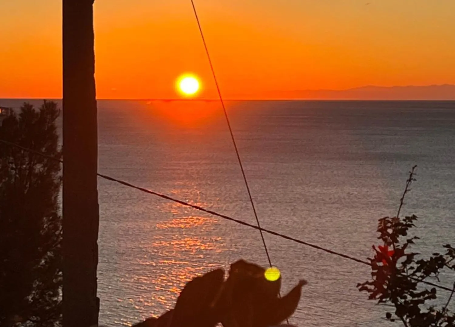La Conchiglia Bed & Breakfast Camogli