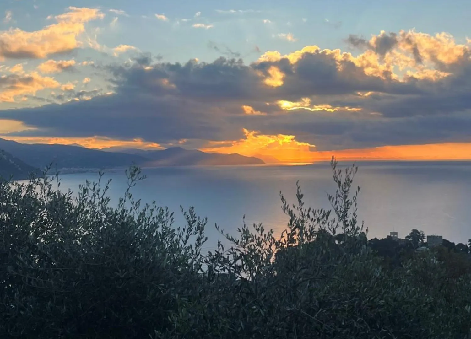 La Conchiglia Bed & Breakfast Camogli