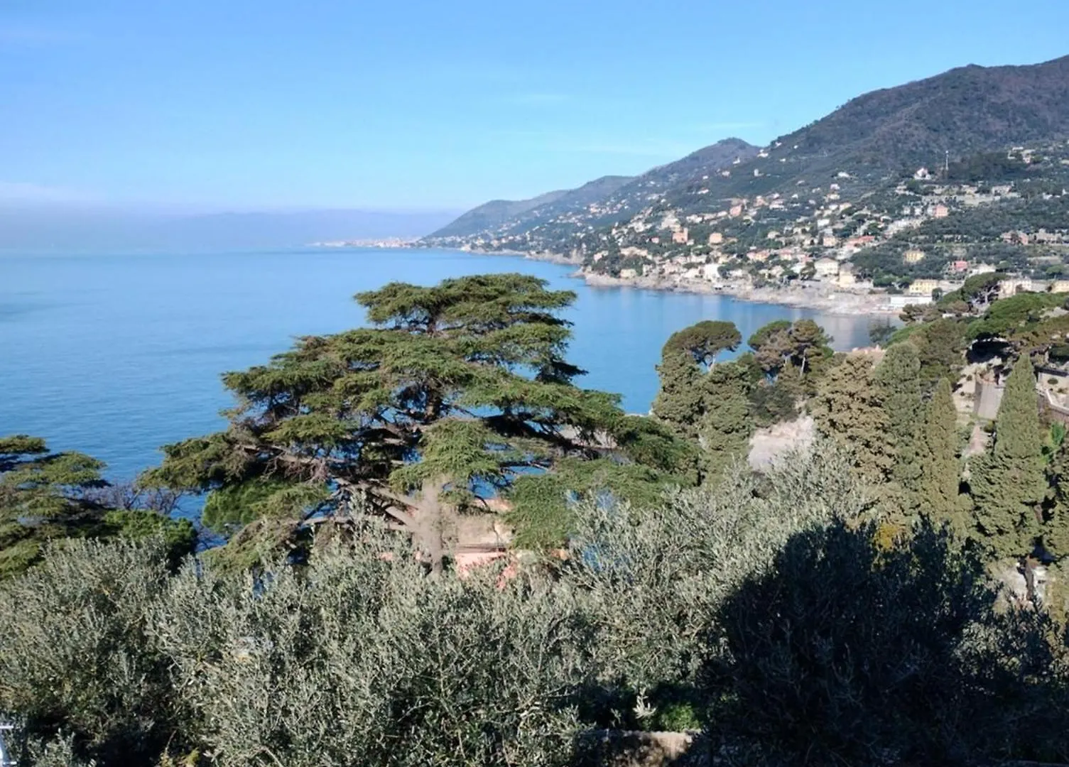 La Conchiglia Bed & Breakfast Camogli